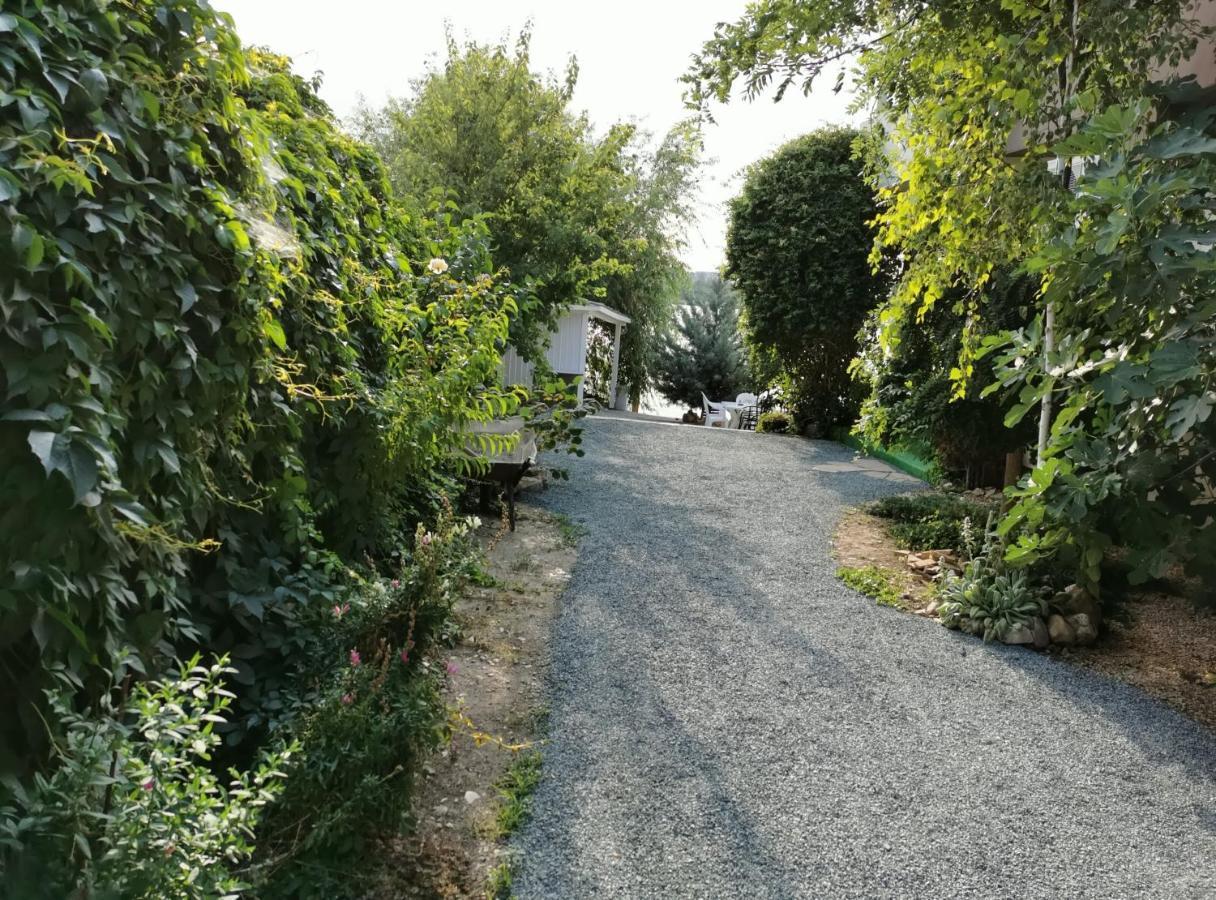 Vila Zuzette Otel Köstence Dış mekan fotoğraf